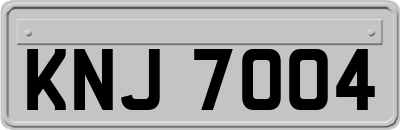 KNJ7004