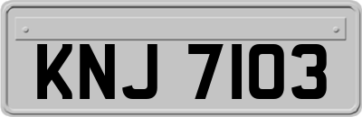 KNJ7103