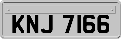 KNJ7166