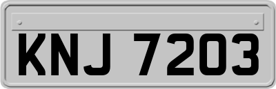 KNJ7203