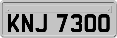 KNJ7300