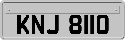 KNJ8110