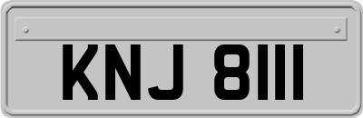 KNJ8111
