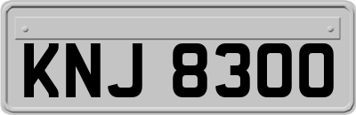 KNJ8300