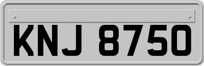 KNJ8750