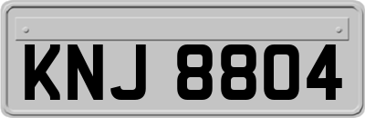 KNJ8804