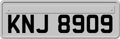 KNJ8909