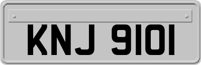 KNJ9101