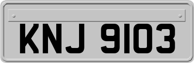 KNJ9103