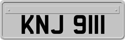 KNJ9111
