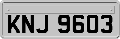 KNJ9603