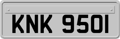 KNK9501