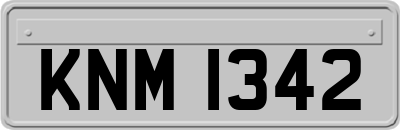 KNM1342