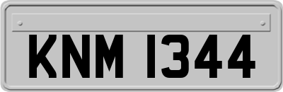 KNM1344