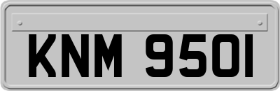 KNM9501