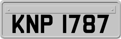 KNP1787