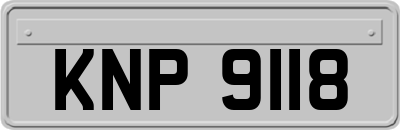 KNP9118