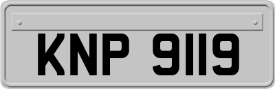 KNP9119