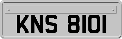 KNS8101
