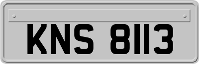 KNS8113