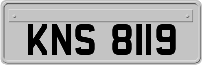 KNS8119