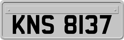 KNS8137