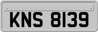 KNS8139