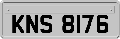 KNS8176