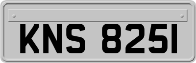 KNS8251