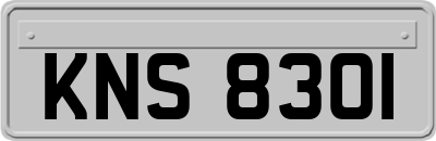 KNS8301