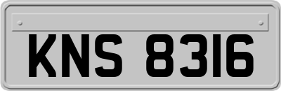 KNS8316