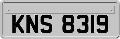 KNS8319