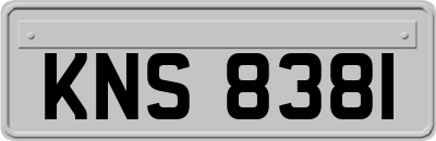 KNS8381