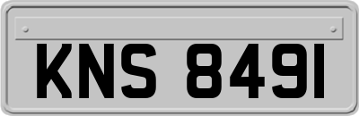 KNS8491