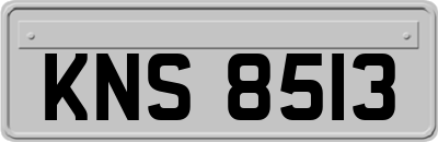 KNS8513