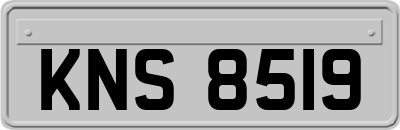 KNS8519