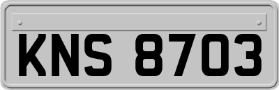 KNS8703