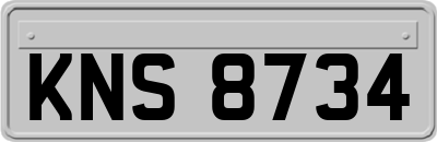 KNS8734