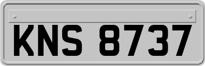 KNS8737