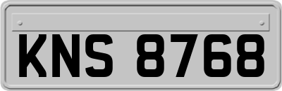 KNS8768