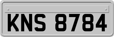 KNS8784