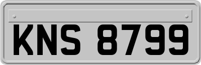 KNS8799