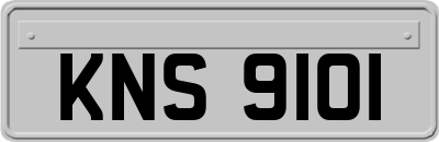 KNS9101