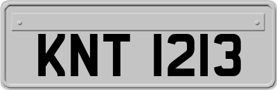 KNT1213