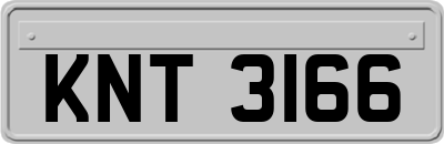 KNT3166