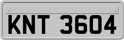 KNT3604