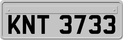 KNT3733