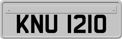 KNU1210