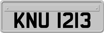 KNU1213