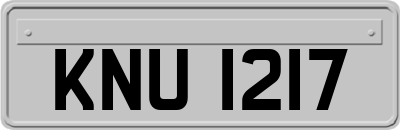 KNU1217